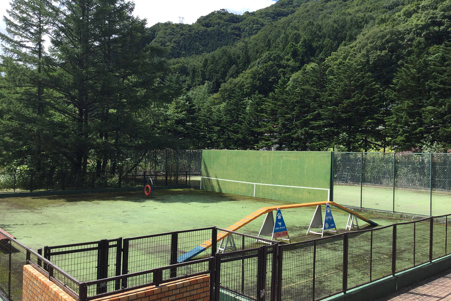 画像：ドッグラン