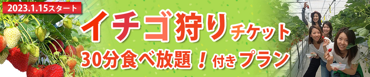 いちご狩りプラン